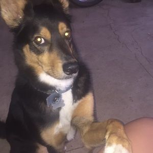 Meet your Posher, Emily